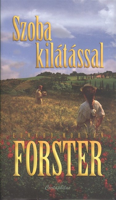 Szoba kilátással