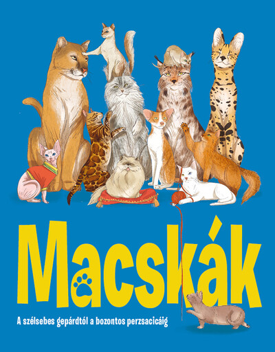 Macskák - A szélsebes gepárdtól a bozontos perzsacicáig