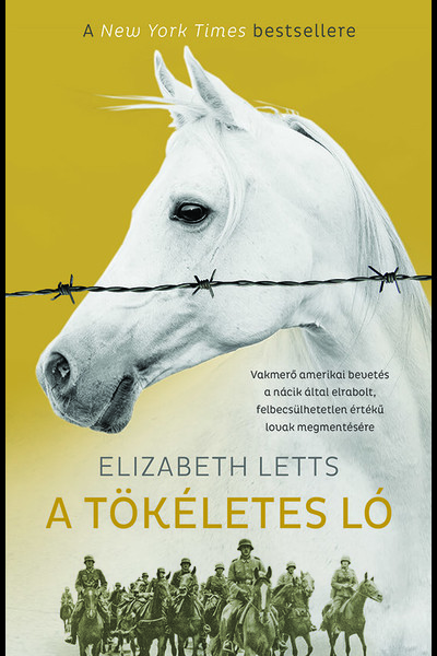 A tökéletes ló