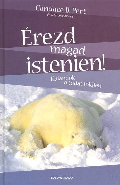 ÉREZD MAGAD ISTENIEN /KALANDOK A TUDAT FÖLDJÉN