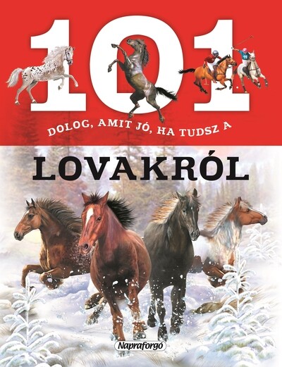 101 dolog, amit jó, ha tudsz a lovakról