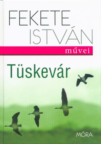 TÜSKEVÁR (18. KIADÁS)