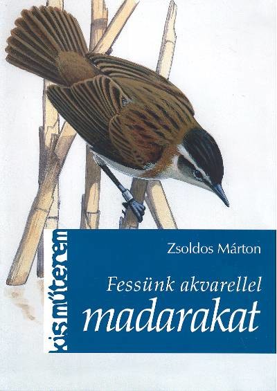 FESSÜNK AKVARELLEL MADARAKAT /KIS MŰTEREM