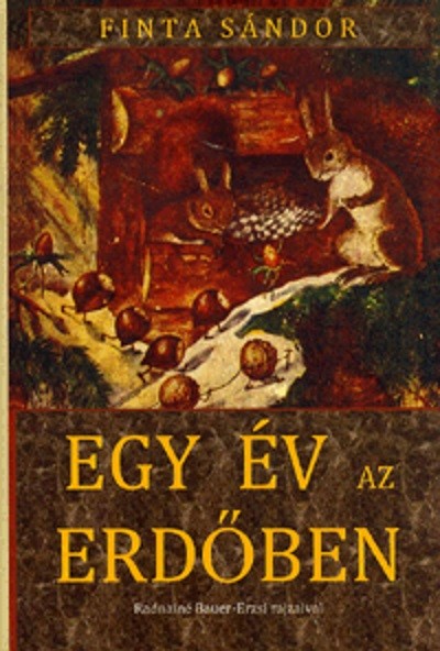 EGY ÉV AZ ERDŐBEN