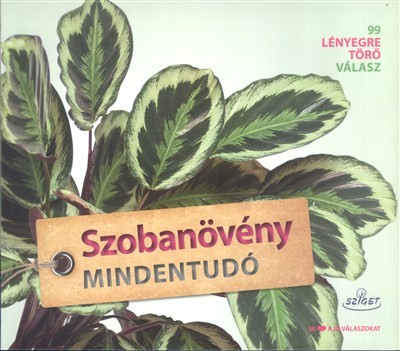 Szobanövény mindentudó /99 lényegretörő válasz