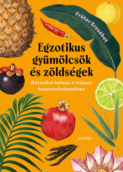 Egzotikus gyümölcsök és zöldségek - Botanikai kalauz a trópusi haszonnövényekhez (2., bővített és javított kiadás)