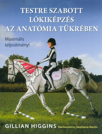 Testre szabott lókiképzés az anatómia tükrében - Maximális teljesítmény!