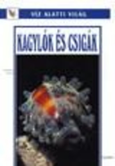 KAGYLÓK ÉS CSIGÁK /VÍZ ALATTI VILÁG