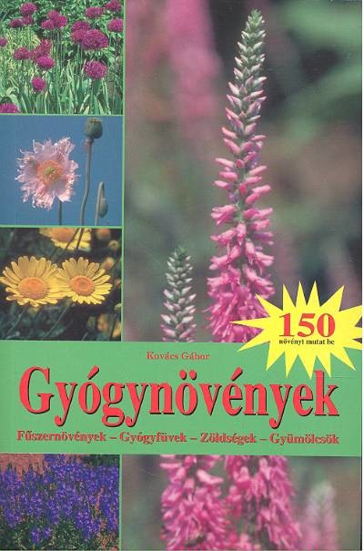GYÓGYNÖVÉNYEK /FŰSZERNÖVÉNYEK, GYÓGYFÜVEK, ZÖLDSÉGEK, GYÜMÖLCSÖK