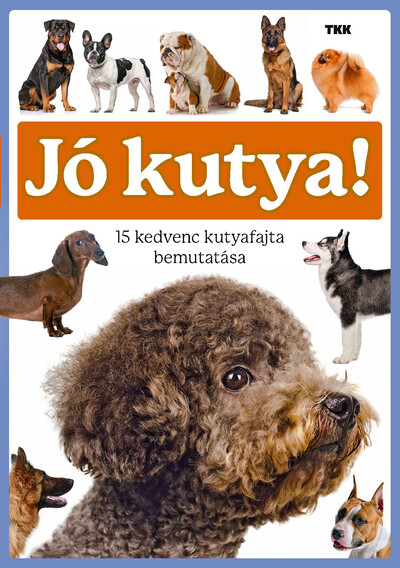 Jó kutya! - 15 kedvenc kutyafajta bemutatása