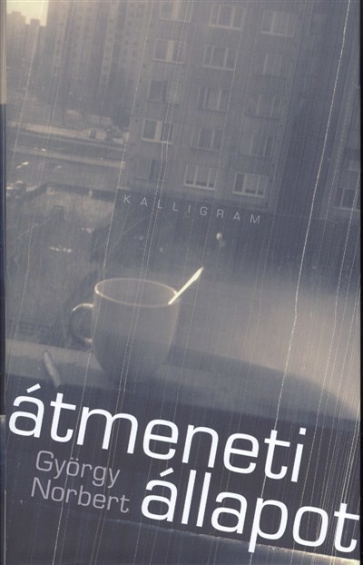 ÁTMENETI ÁLLAPOT