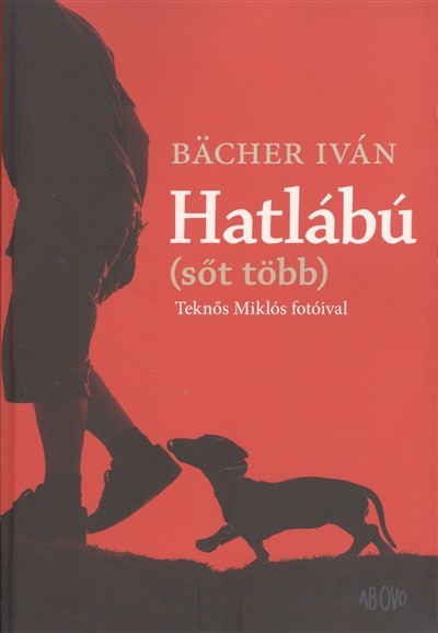 HATLÁBÚ (SŐT TÖBB)