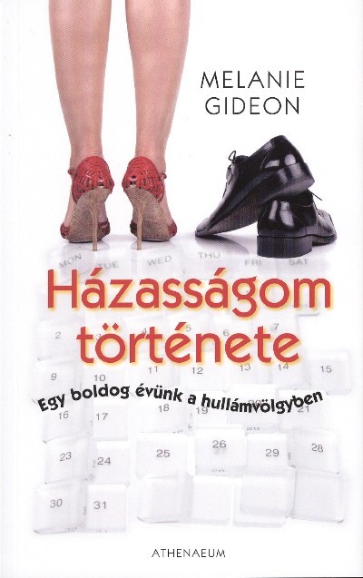 HÁZASSÁGOM TÖRTÉNETE /EGY BOLDOG ÉVÜNK A HULLÁMVÖLGYBEN
