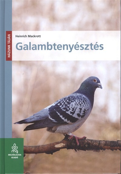 Galambtenyésztés /Házunk táján