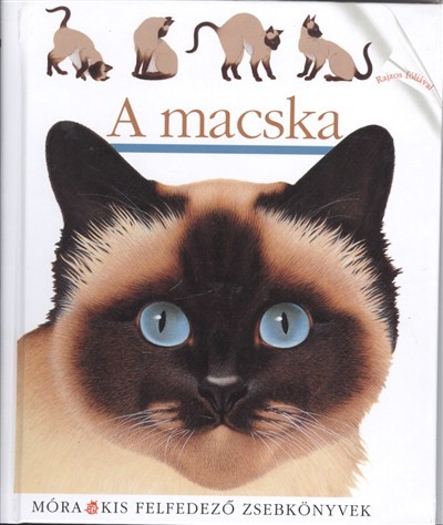 A macska /Kis felfedező zsebkönyvek