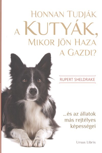 HONNAN TUDJÁK A KUTYÁK, MIKOR JÖN HAZA A GAZDI? /...ÉS AZ ÁLLATOK MÁS REJTÉLYES KÉPESSÉGEI