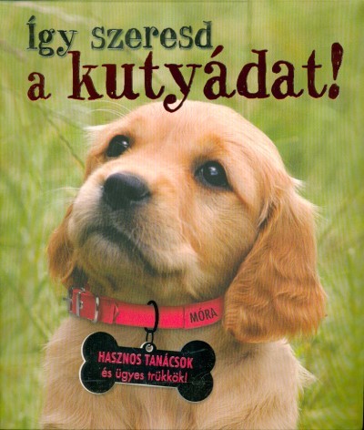 Így szeresd a kutyádat! /Hasznos tanácsok és ügyes trükkök!