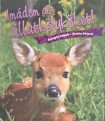 IMÁDOM AZ ÁLLATKÖLYKÖKET! /ARANYOS KÉPEK - FONTOS TÉNYEK
