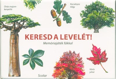 Keresd a levelét! - Memóriajáték fákkal