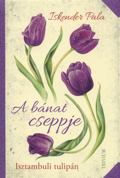 A bánat cseppje - Isztambuli tulipán