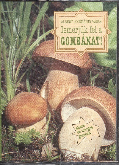 ISMERJÜK FEL A GOMBÁKAT! 1.
