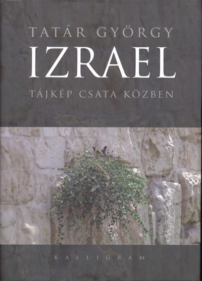 IZRAEL /TÁJKÉP CSATA KÖZBEN