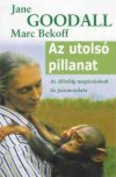 AZ UTOLSÓ PILLANAT