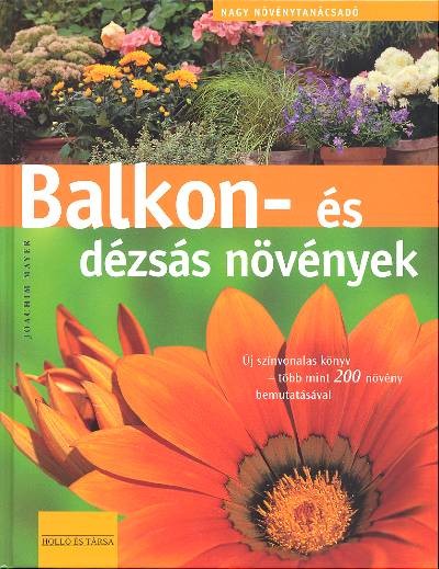 Balkon-és dézsás növények