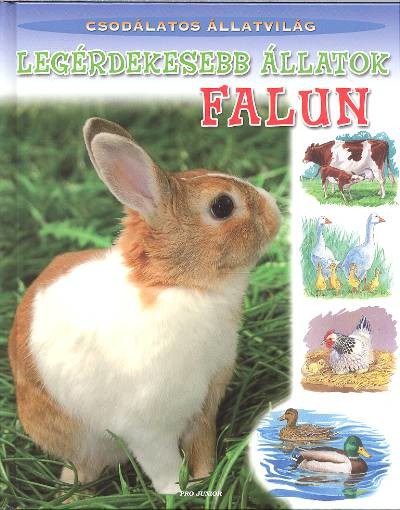LEGÉRDEKESEBB ÁLLATOK FALUN /CSODÁLATOS ÁLLATVILÁG
