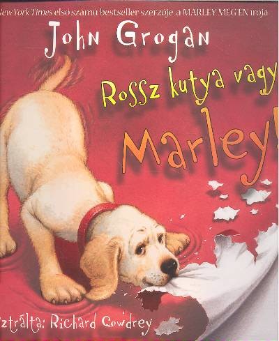 ROSSZ KUTYA VAGY, MARLEY!