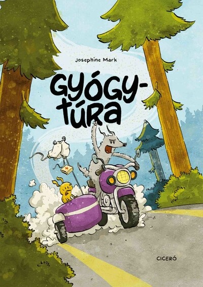 Gyógytúra (képregény)