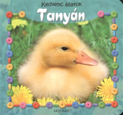 KEDVENC ÁLLATOK: TANYÁN
