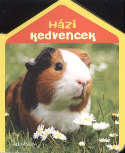 HÁZI KEDVENCEK