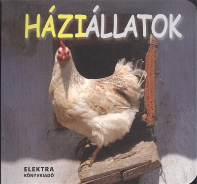 Háziállatok