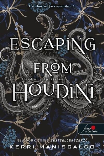 Escaping From Houdini - Houdini csapdájában