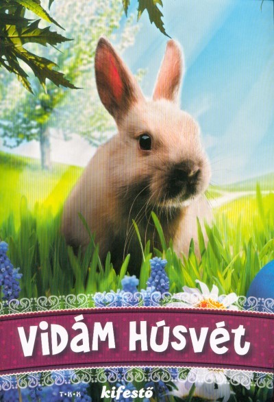 Vidám húsvét - kifestő §H