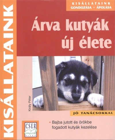 Árva kutyák új élete /Kisállataink