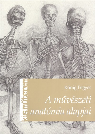 A művészeti anatómia alapjai /kis műterem