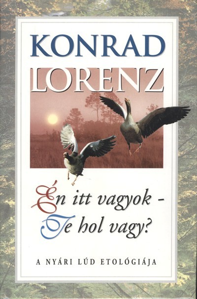 ÉN ITT VAGYOK-TE HOL VAGY?