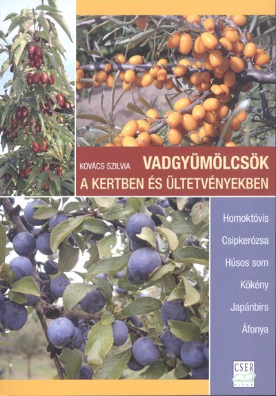 VADGYÜMÖLCSÖK A KERTBEN ÉS ÜLTETVÉNYEKBEN /HOMOKTÖVIS, CSIPKERÓZSA, HÚSOS SOM, KÖKÉNY, JAPÁNBIRS