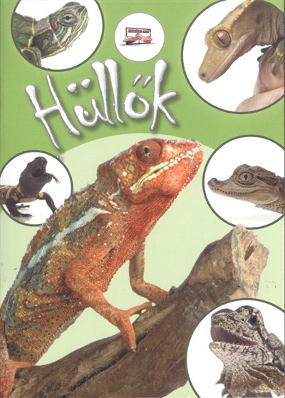 Hüllők