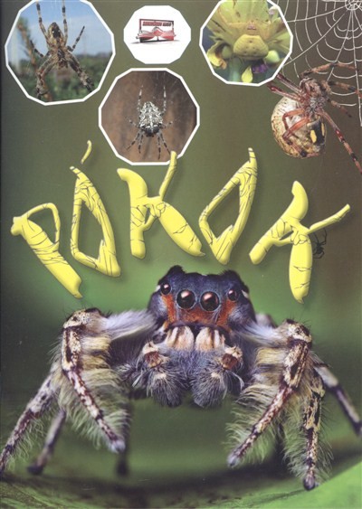 Pókok