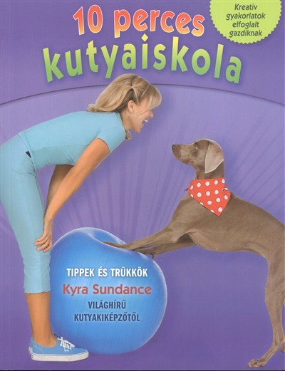 10 PERCES KUTYAISKOLA /KREATÍV GYAKORLATOK ELFOGLALT GAZDIKNAK