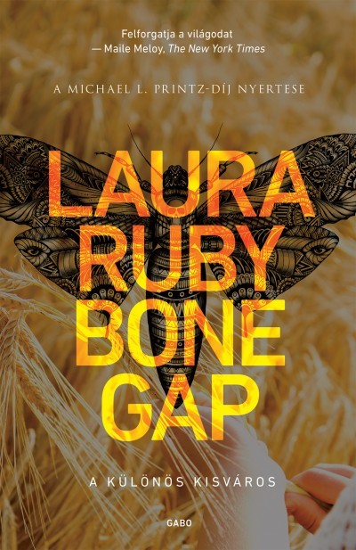 Bone gap - A különös kisváros