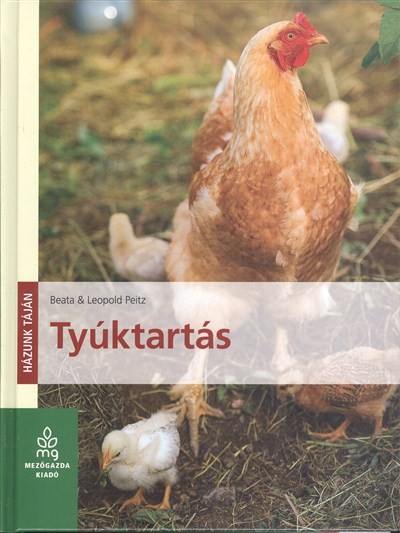 Tyúktartás /Házunk táján