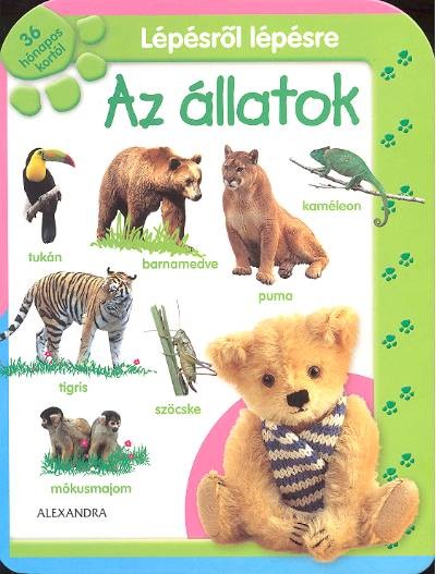LÉPÉSRŐL LÉPÉSRE: AZ ÁLLATOK /36 HÓNAPOS KORTÓL
