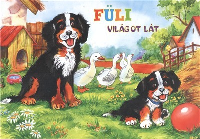 Füli világot lát /Leporelló