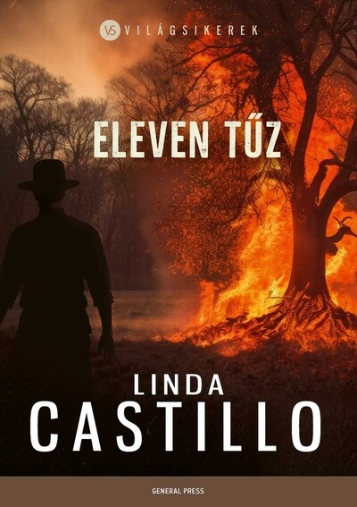 Eleven tűz - Világsikerek