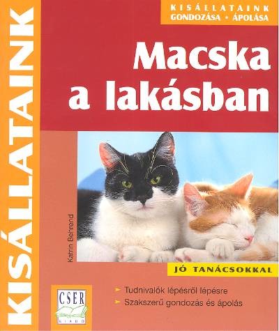MACSKA A LAKÁSBAN /KISÁLLATAINK