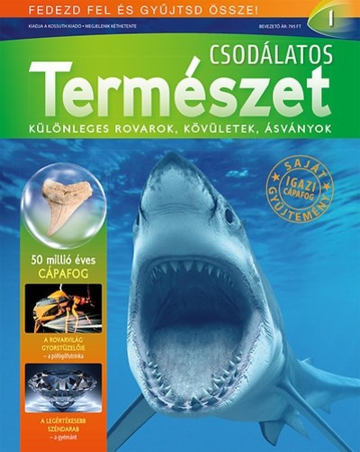 CSODÁLATOS TERMÉSZET 01. - KÜLÖNLEGES ROVAROK, KÖVÜLETEK, ÁSVÁNYOK /CÁPAFOG